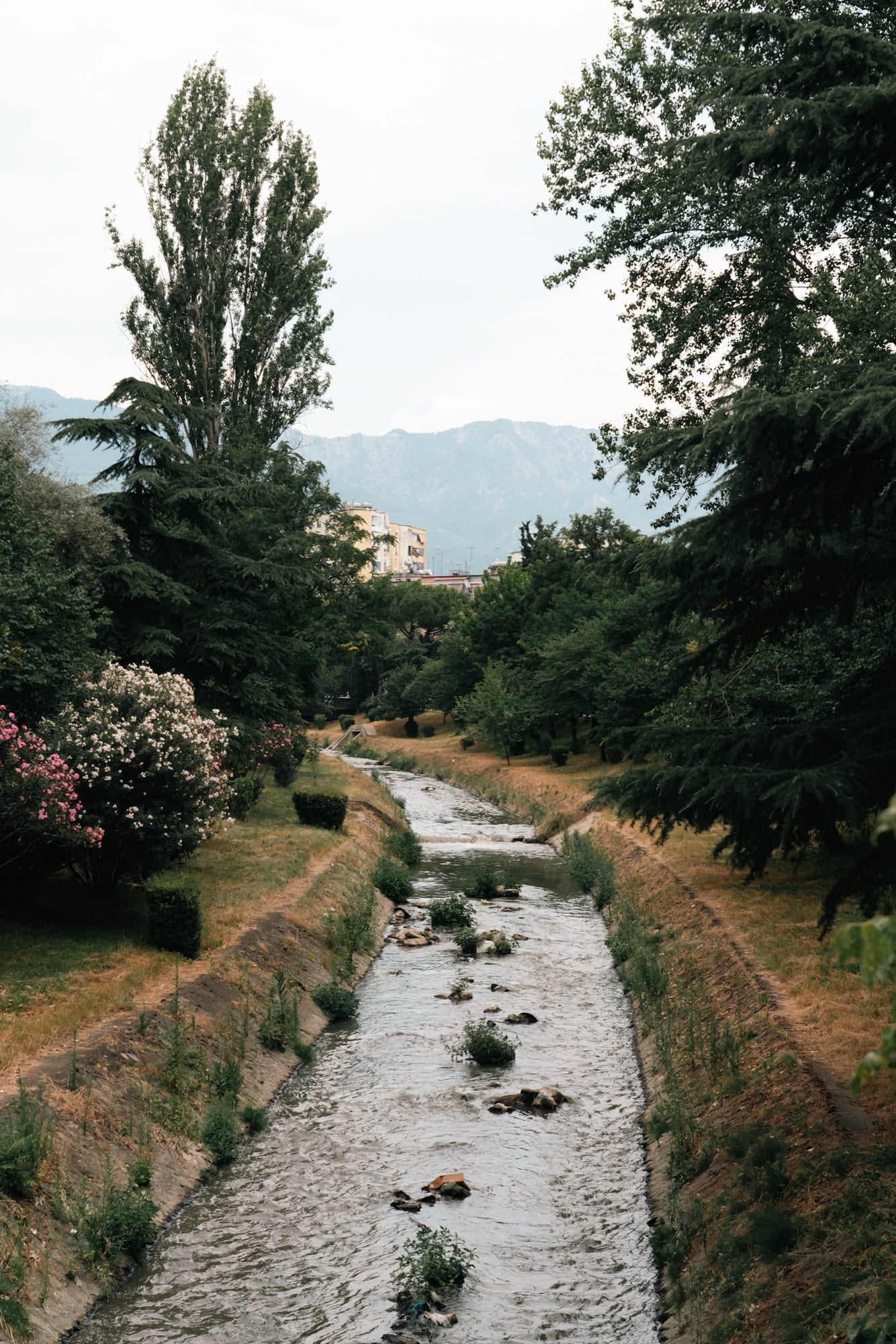 The Lana stream running through a green Tirana park past flowering oleander, mountains rising in the haze beyond
