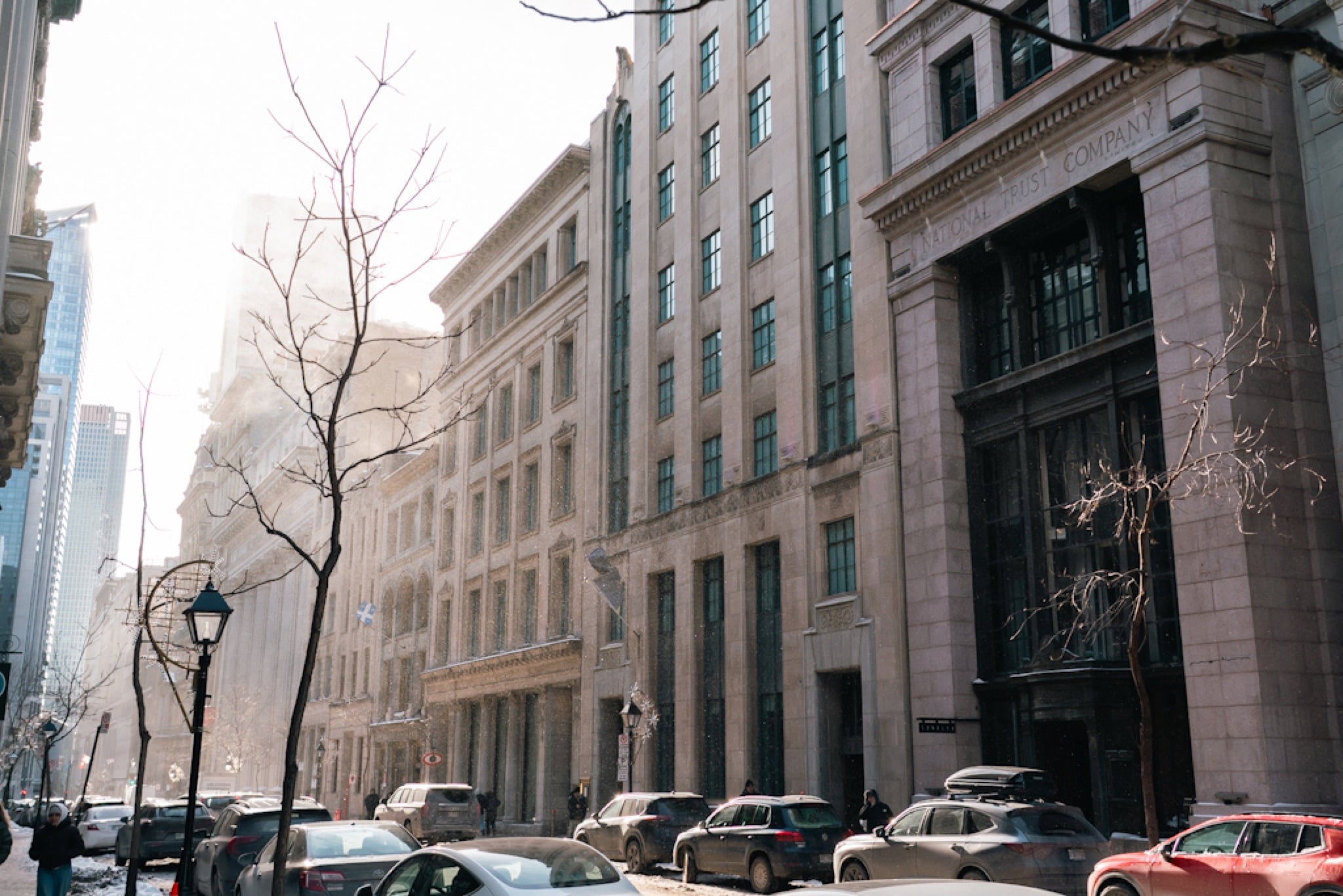 A bare tree on a downtown Montreal avenue