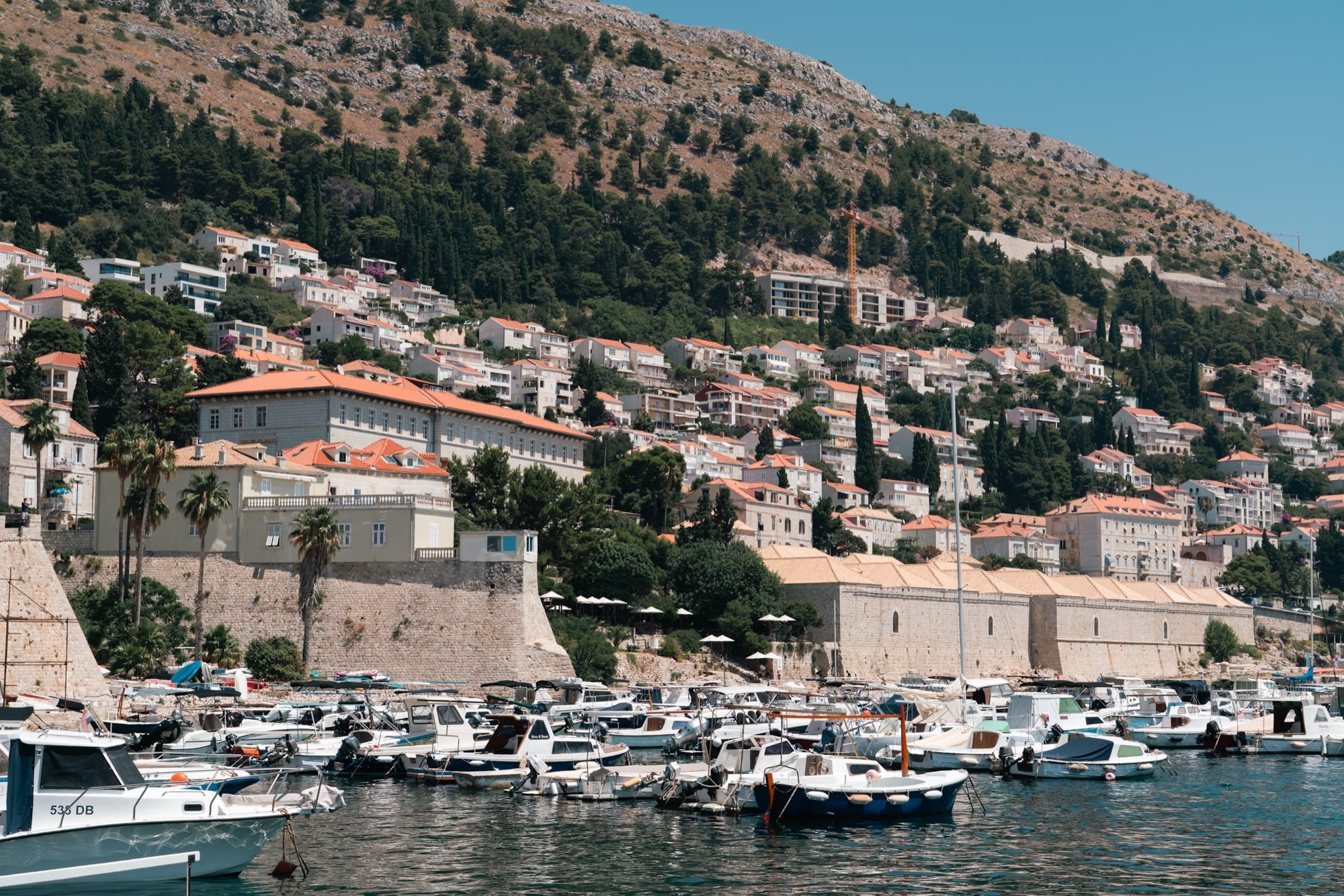 The Old Port and rooftops below the wooded hillside, Dubrovnik