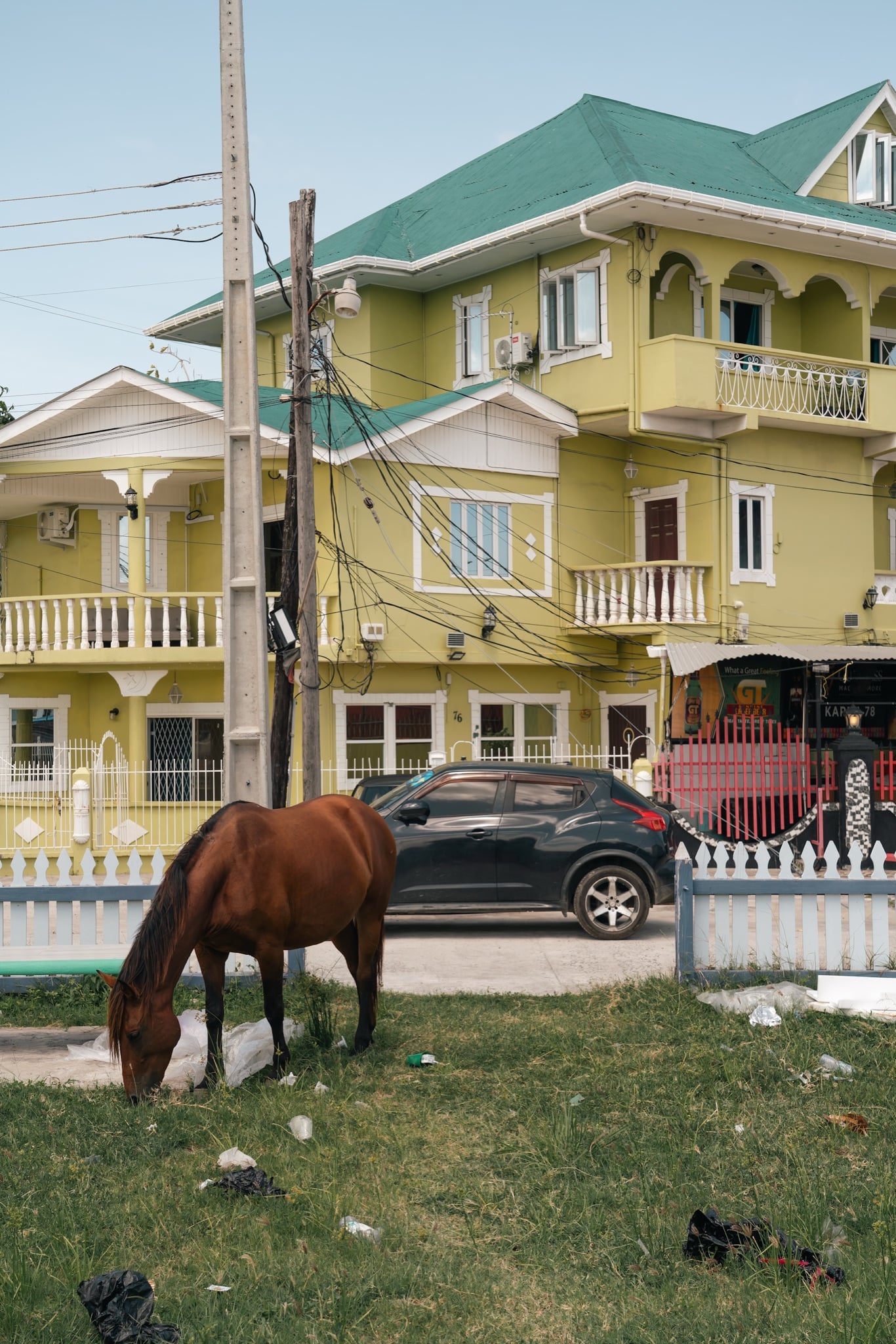A horse grazing on a verge in front of a yellow-green house
