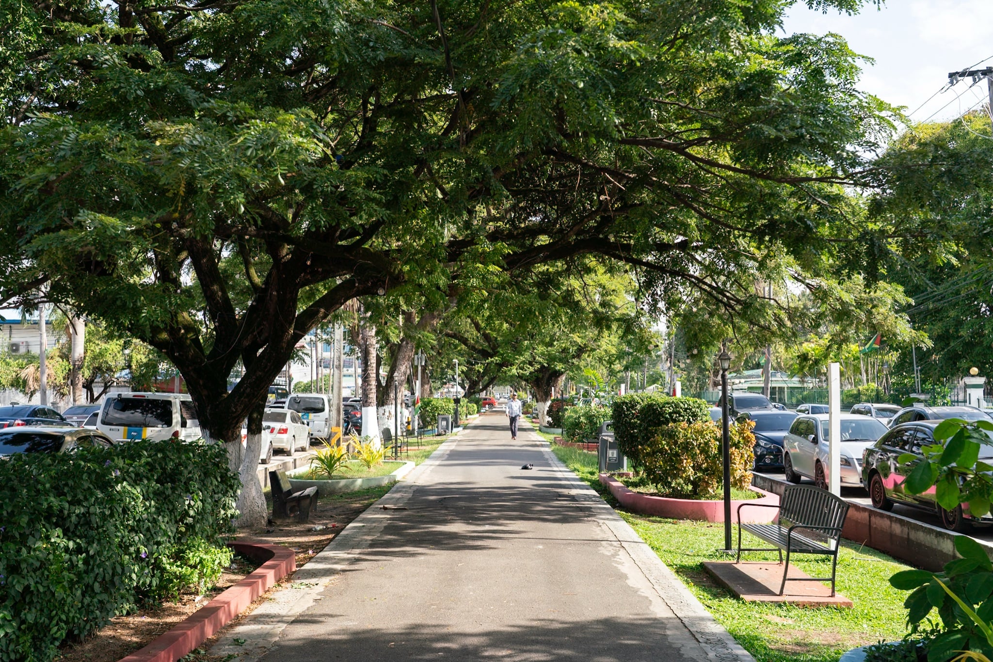 The tree-shaded pedestrian median running down Main Street