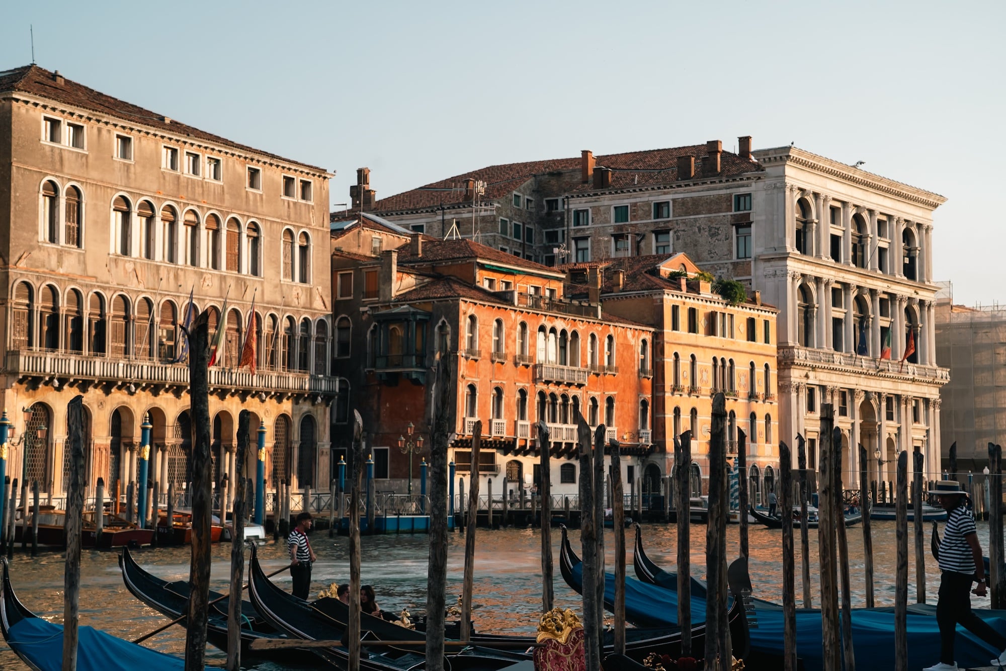 Gondoliers in striped shirts beside gondolas moored under blue covers on mooring poles, arcaded palazzi glowing gold across the water