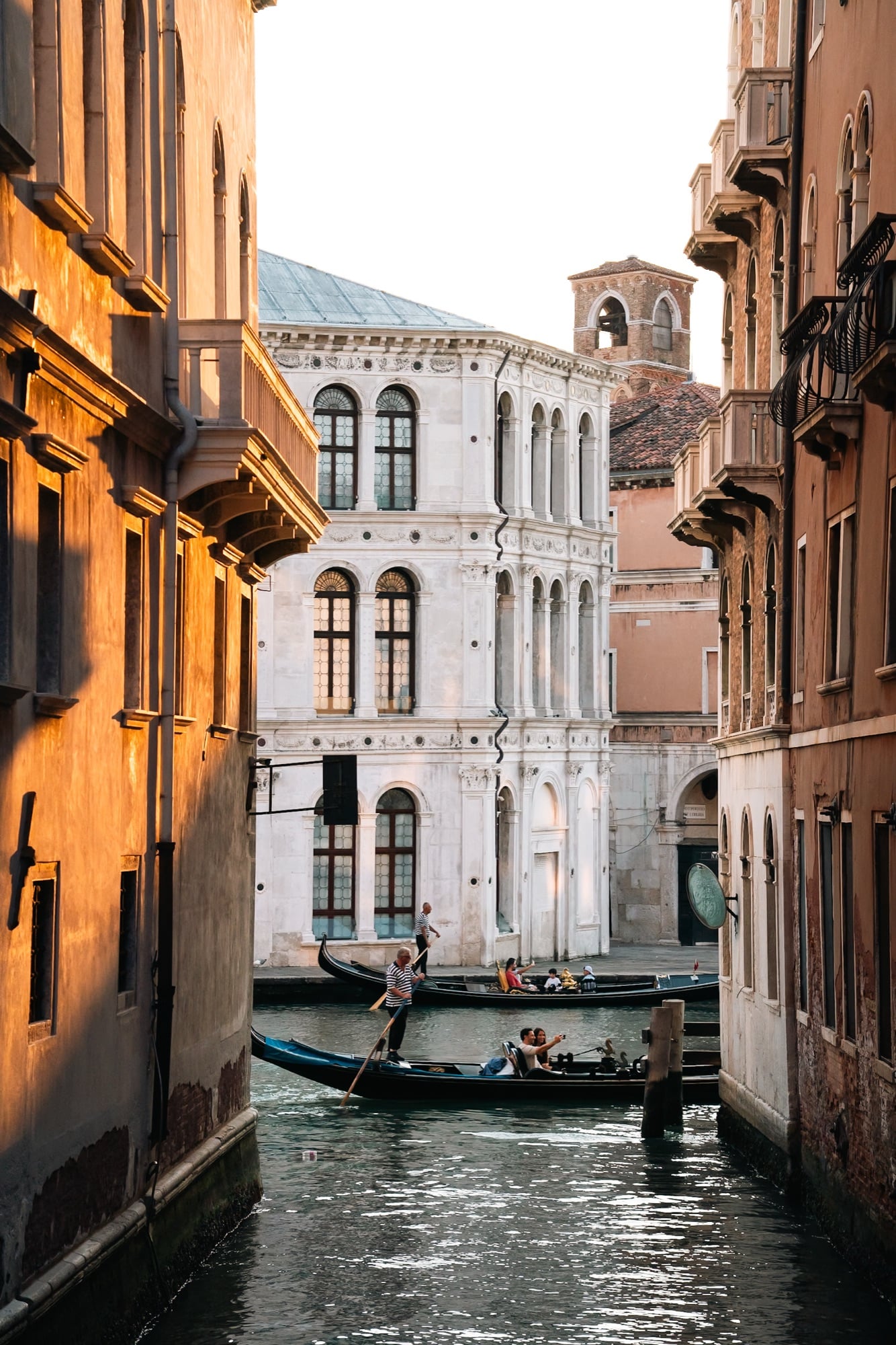 Gondolas gliding through a narrow canal before a white marble Renaissance palazzo, a brick bell tower rising behind