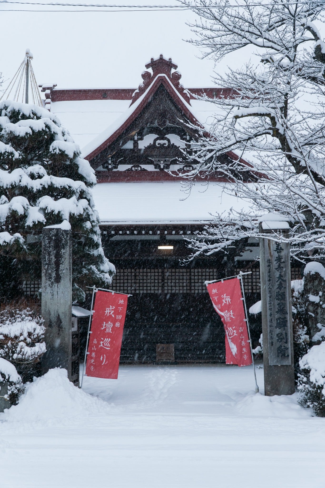 Snow-laden torii at Takayama