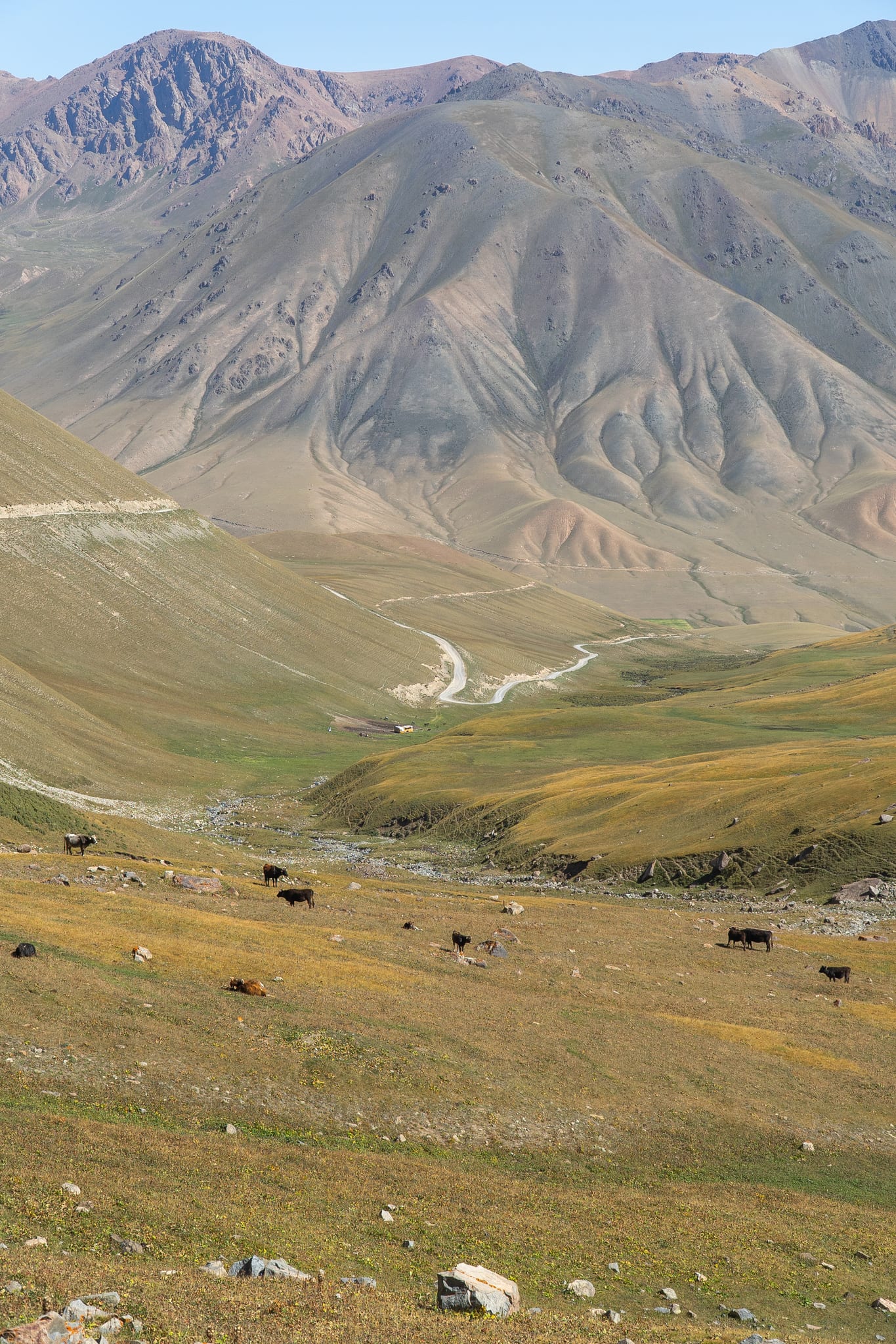 Bare ridgelines rising over the Song-Kul plateau
