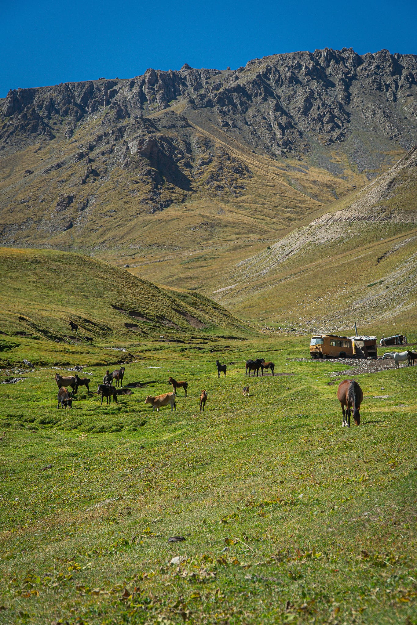 Green summer pastures rolling toward the peaks above Song-Kul