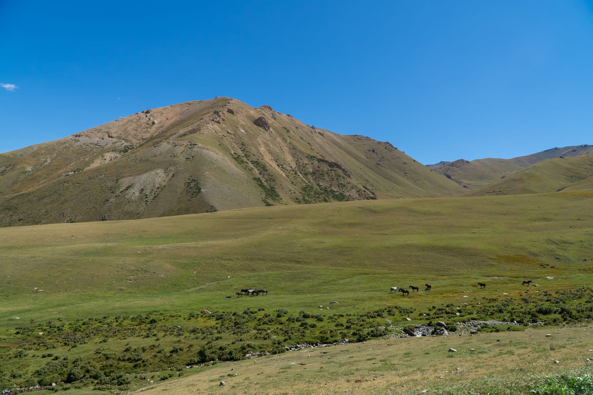 The open jailoo stretching to distant peaks at Song-Kul