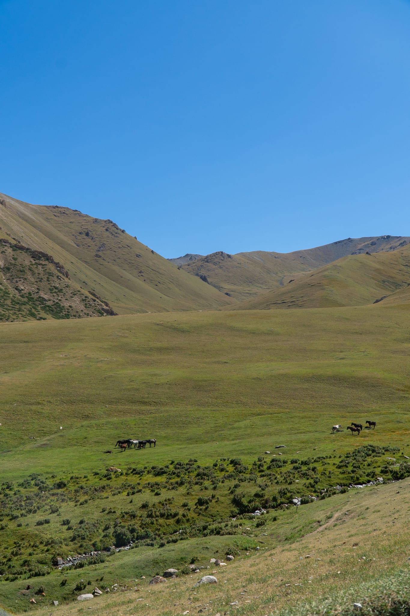 A steep grassy slope climbing above Song-Kul