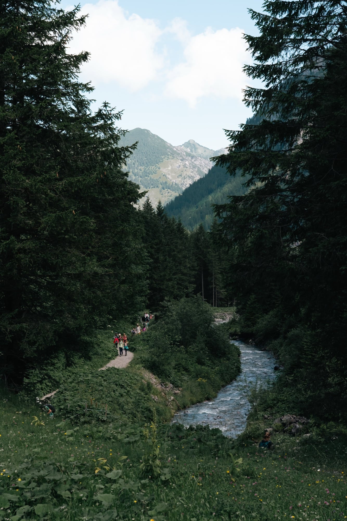 A line of hikers on a forest path beside a rushing mountain stream, a green peak framed in the gap between the spruces