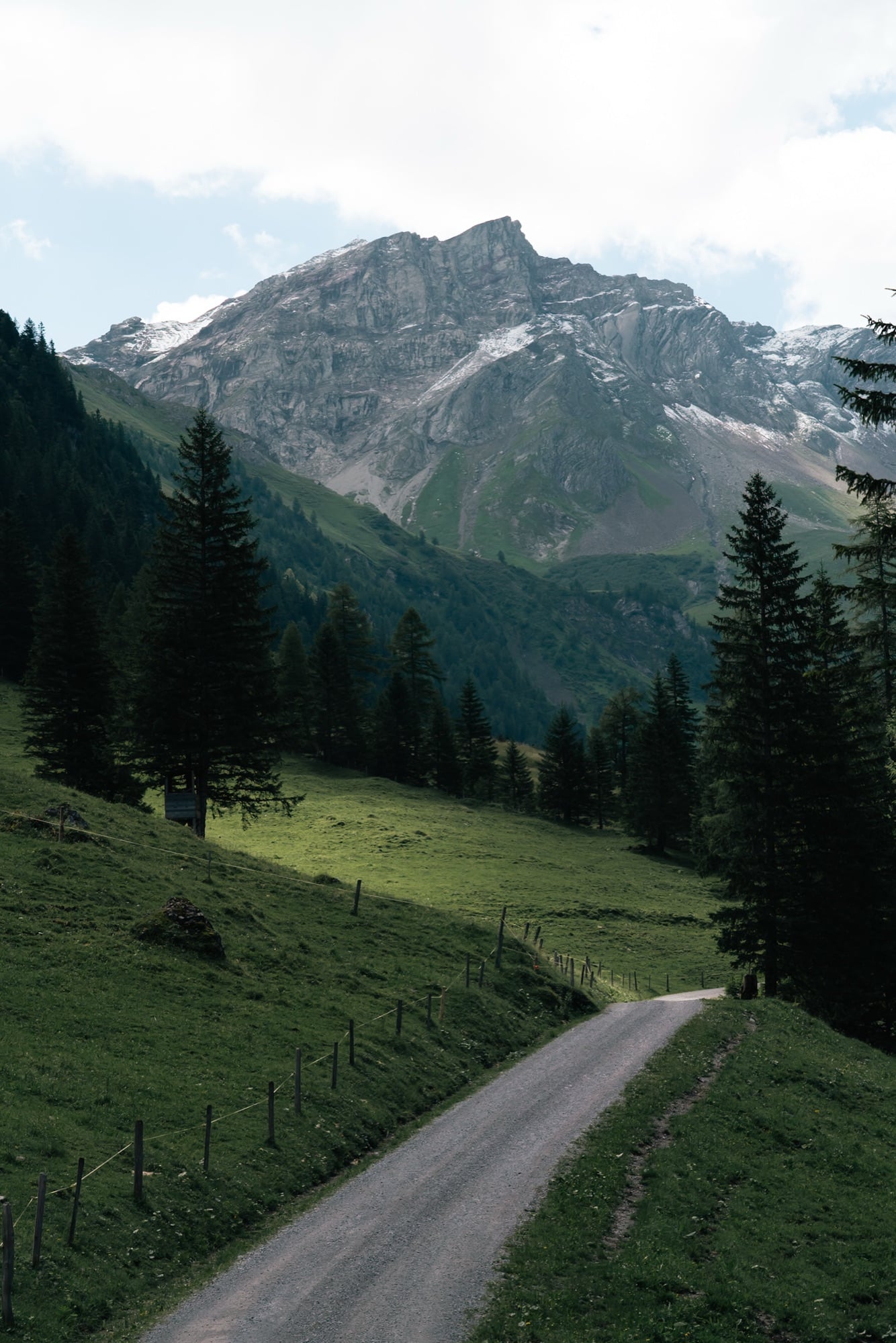 A gravel track climbing through green pastures and spruces toward a big snow-patched rocky peak