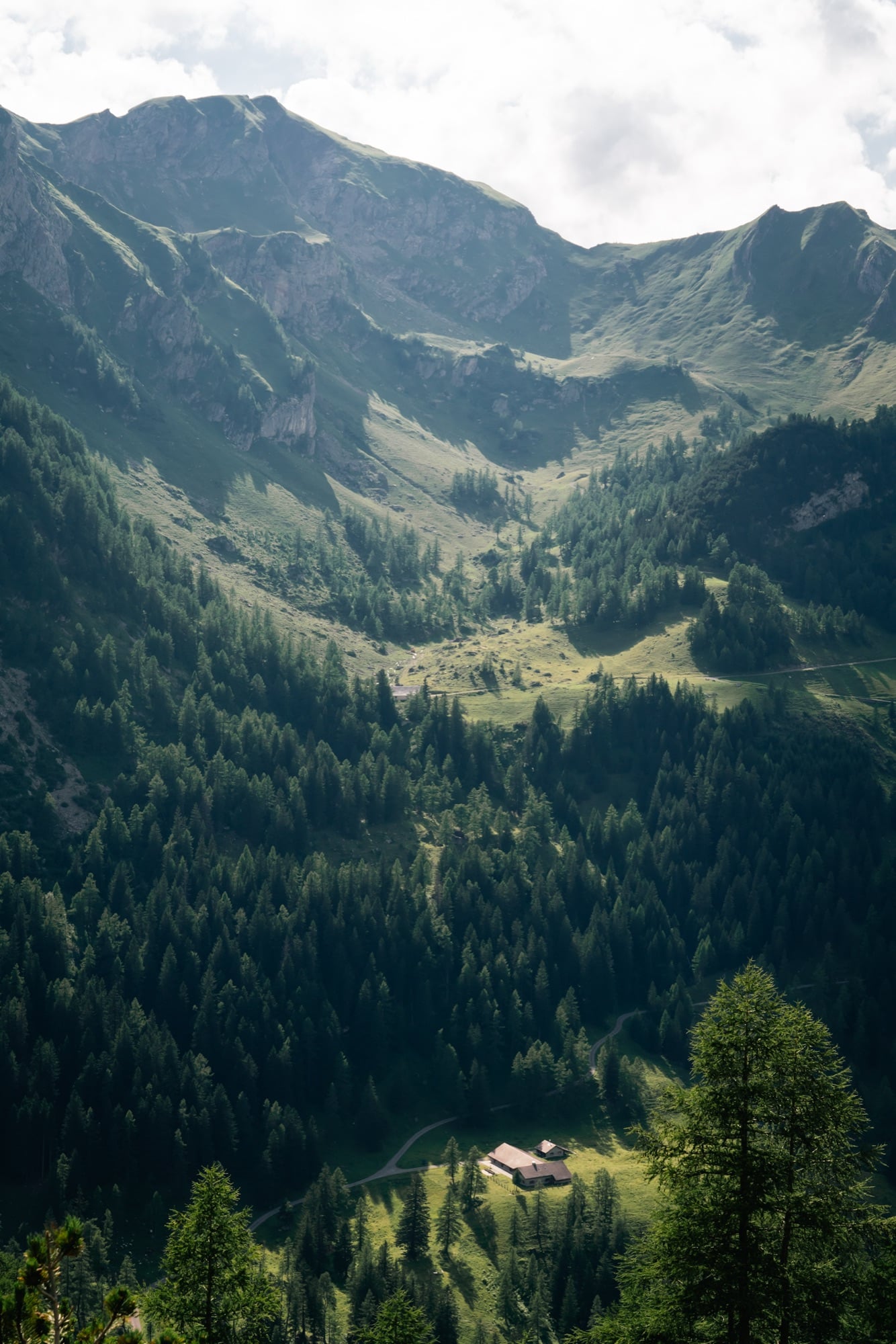 A lone chalet deep in a forested valley below steep grassy-rock slopes, a track winding down through the larches