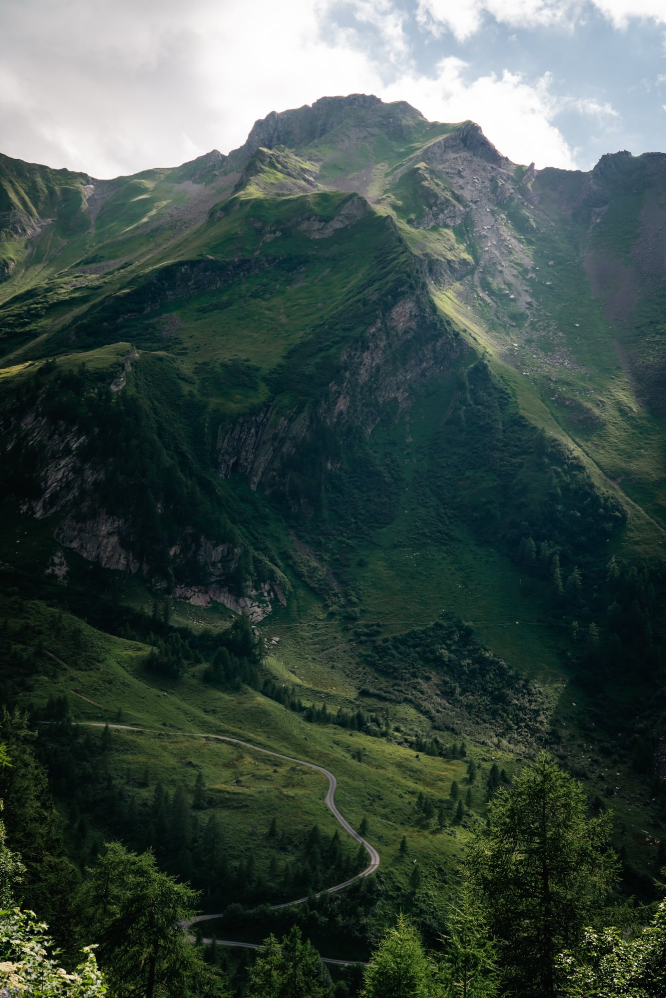 A hairpin road winding up a green mountainside through larch forest toward a sunlit grassy summit