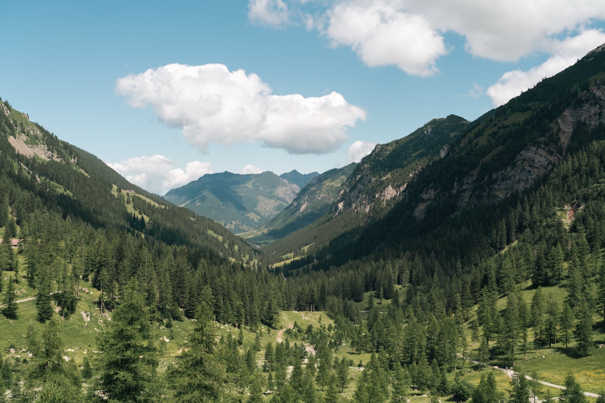 A broad U-shaped valley lined with larch and spruce forest receding to hazy blue ridges under a big summer cloud