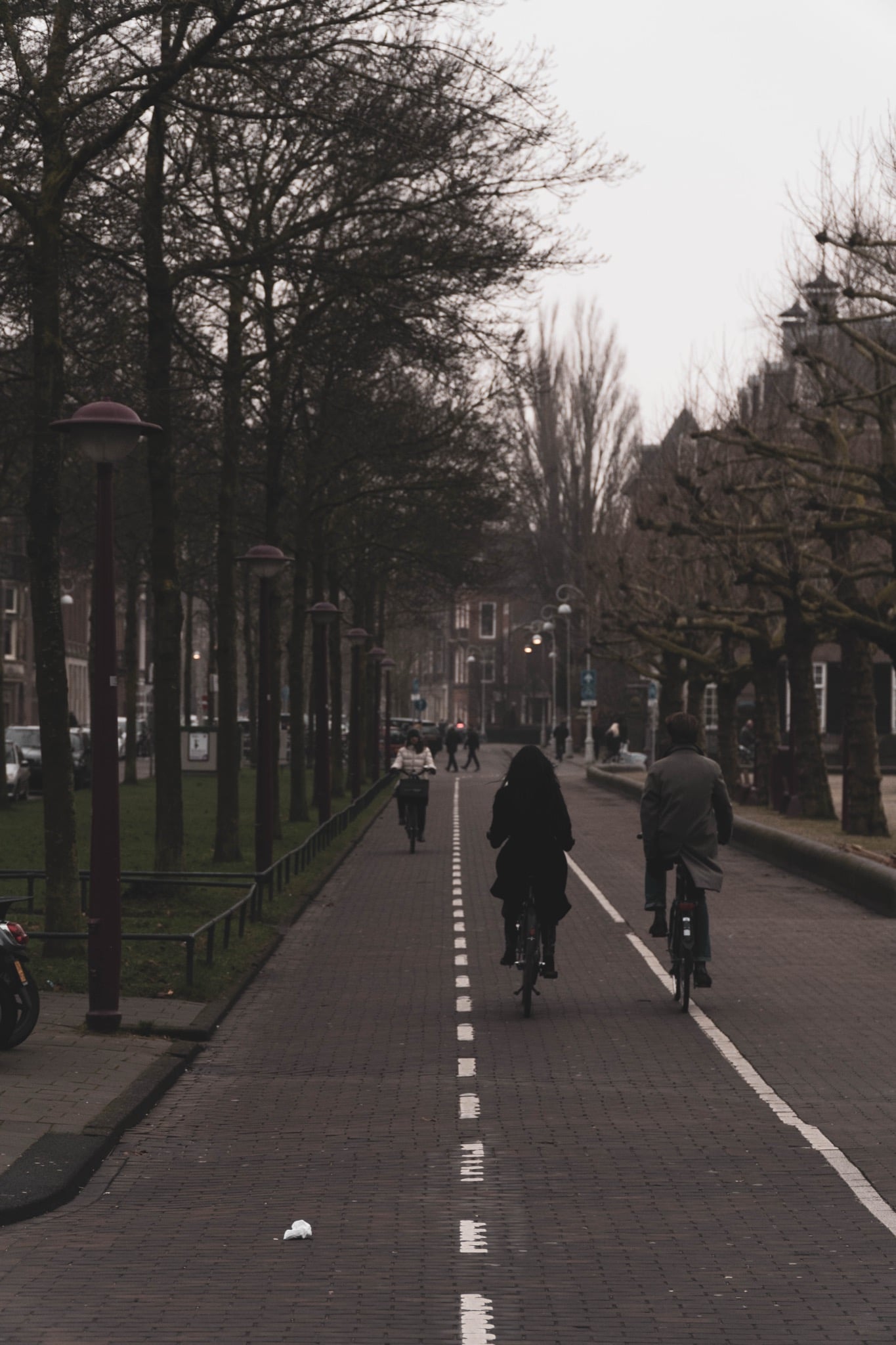 Cyclists riding a tree-lined brick cycle path at dusk