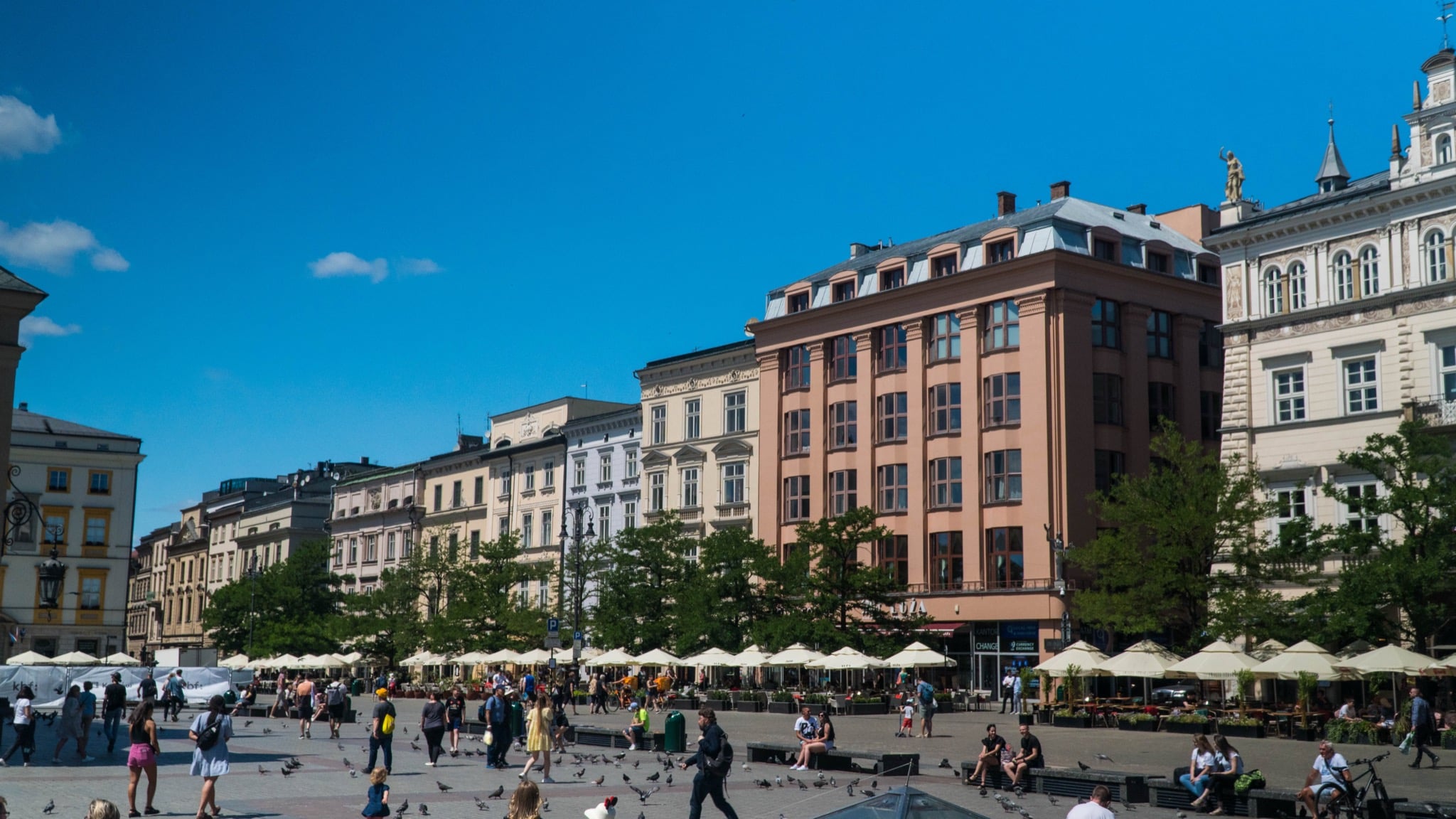 Café umbrellas and pigeons on the paving of Kraków's Rynek Główny