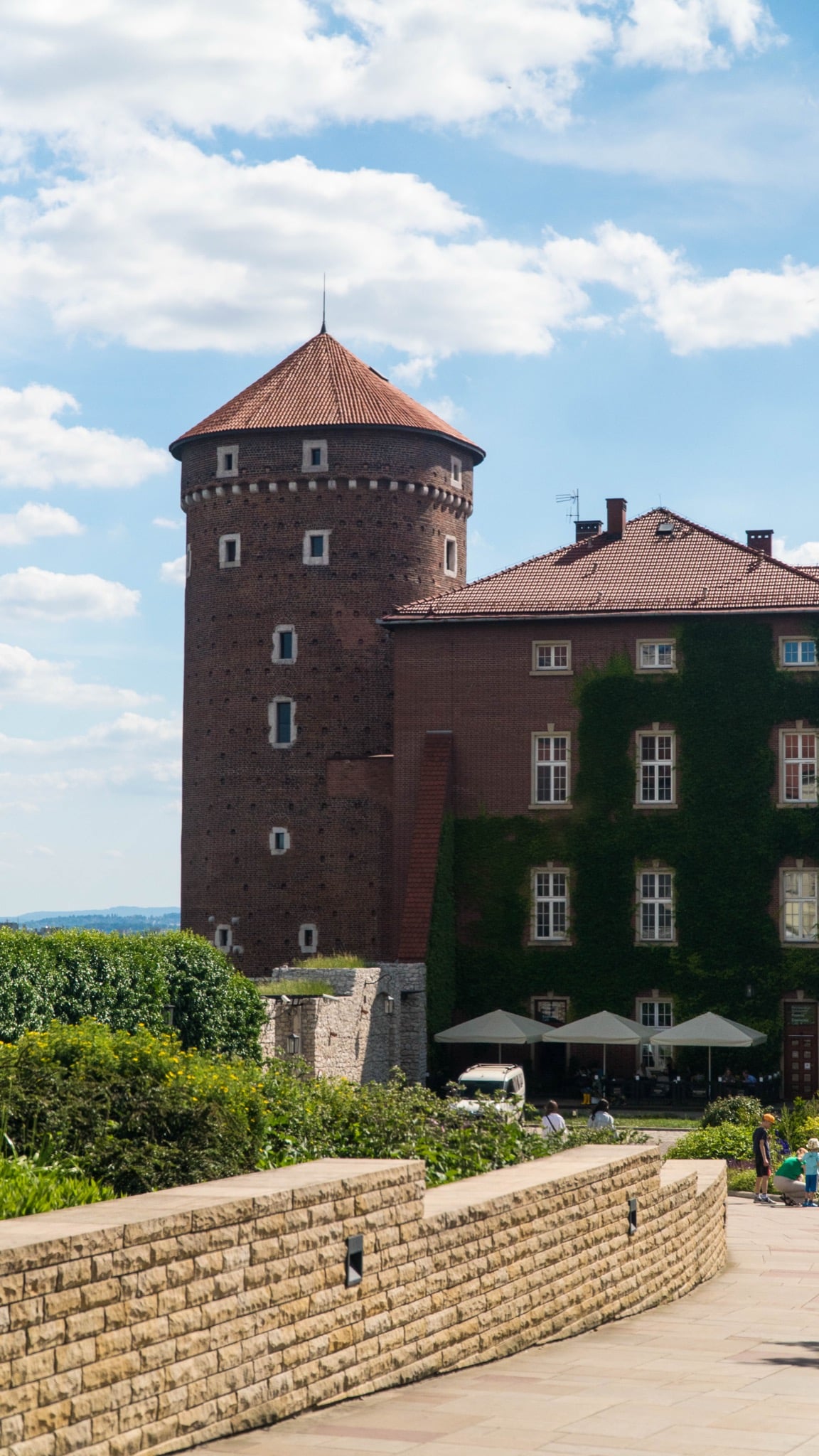 The round Sandomierz Tower rising above the ivy-covered ramparts of Wawel
