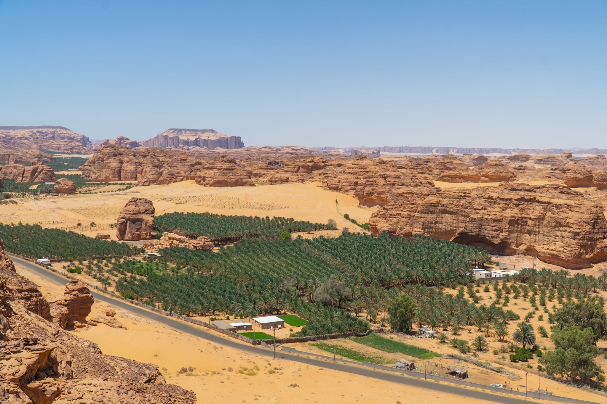 Rock-cut tombs standing across the desert at Hegra