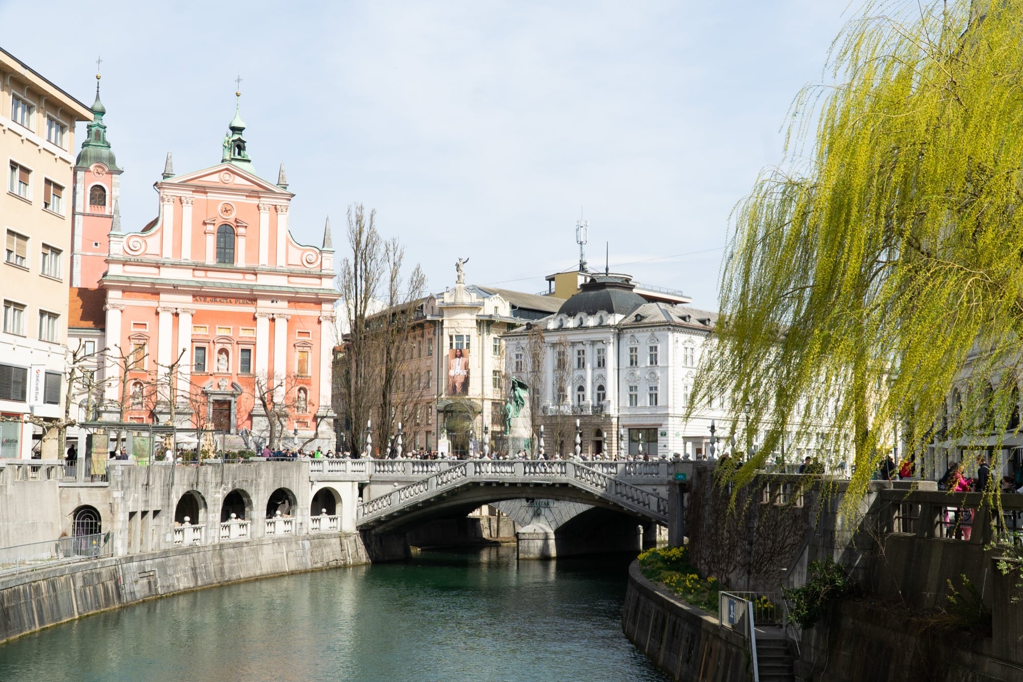 The pink Franciscan Church and the Triple Bridge over the Ljubljanica, a willow trailing into the river