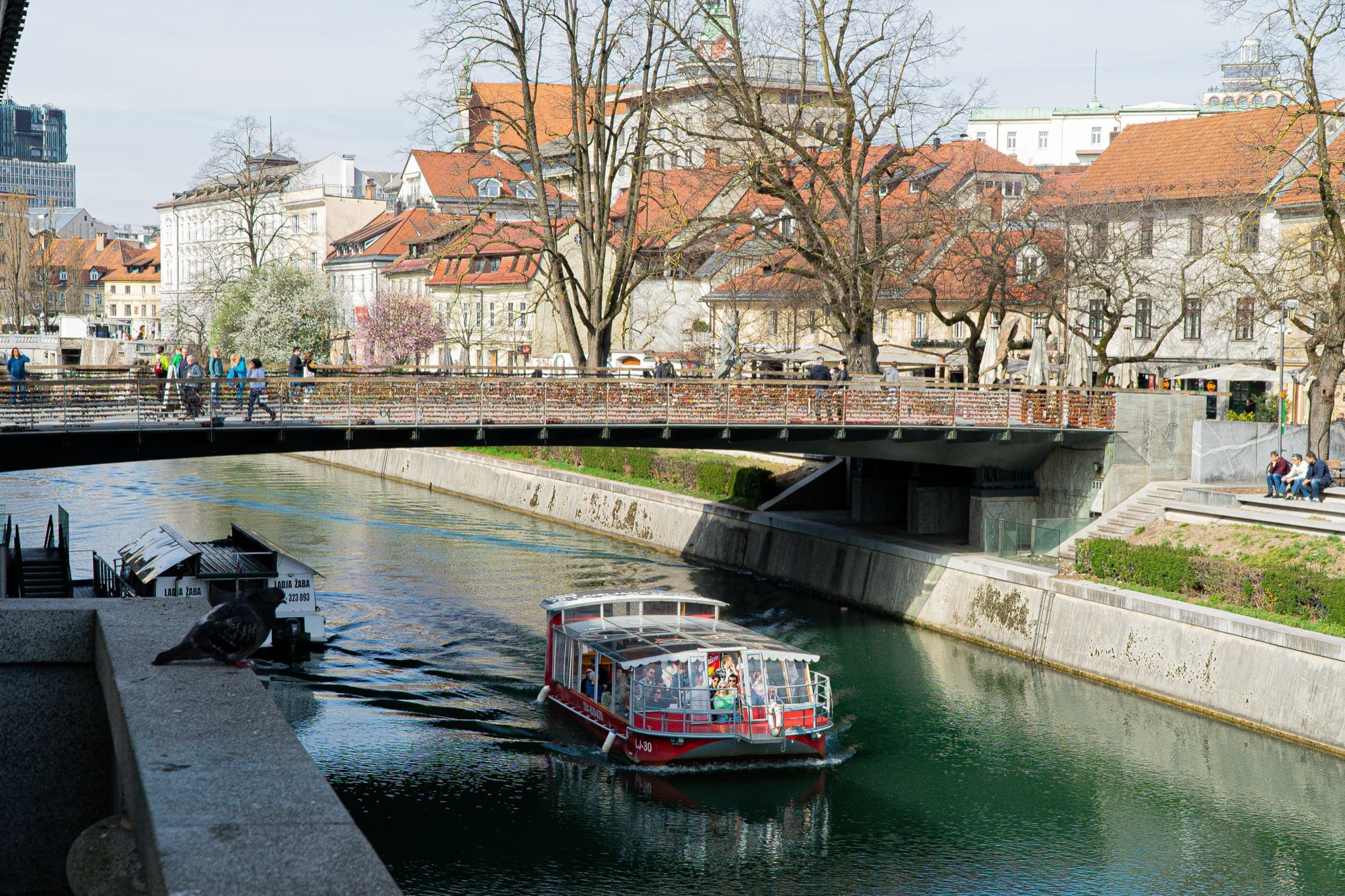 A tourist boat on the green Ljubljanica passing beneath a bridge in the old town, Ljubljana