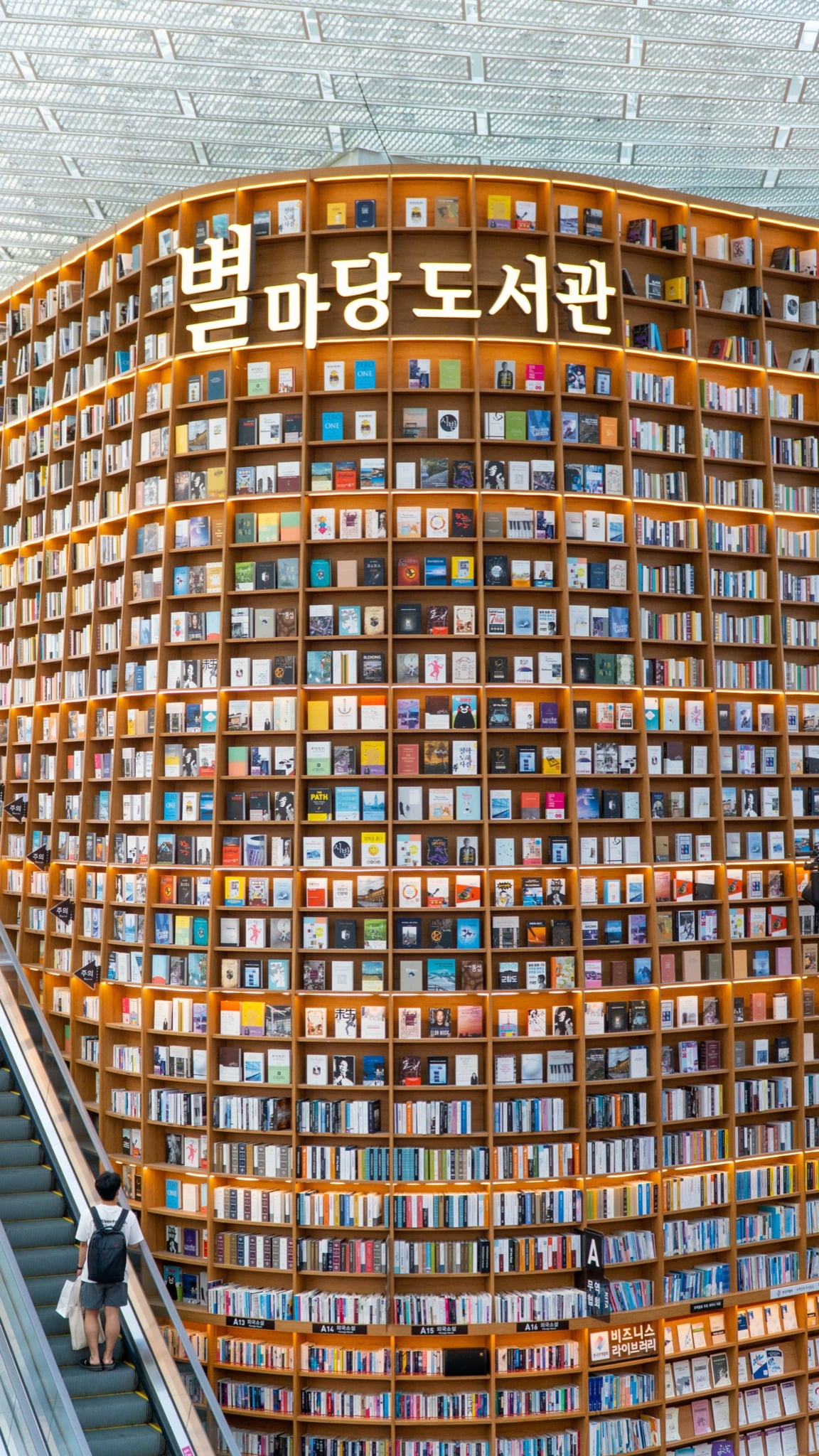 The towering bookshelves of a Seoul library