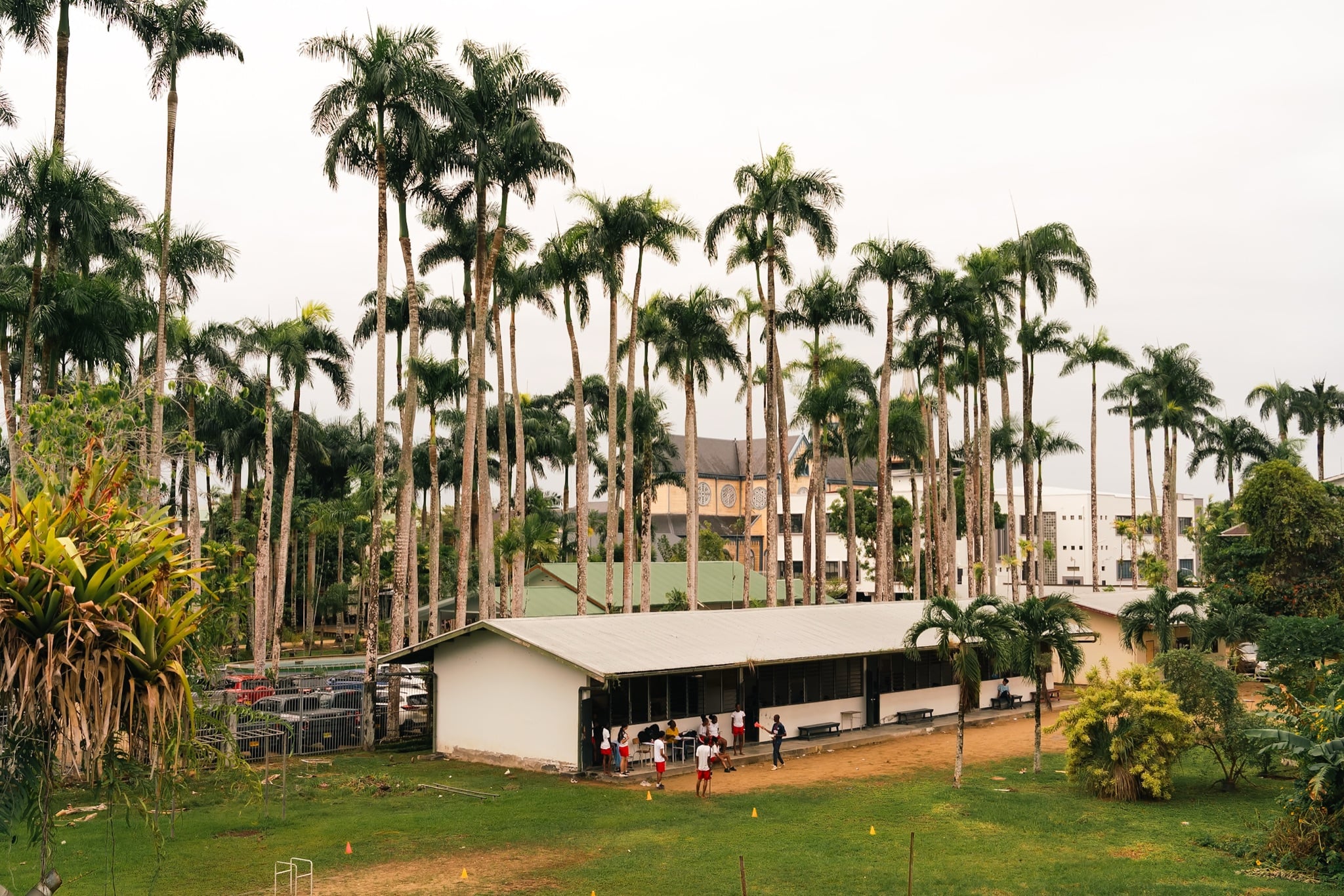 Rooftops and street life in Paramaribo