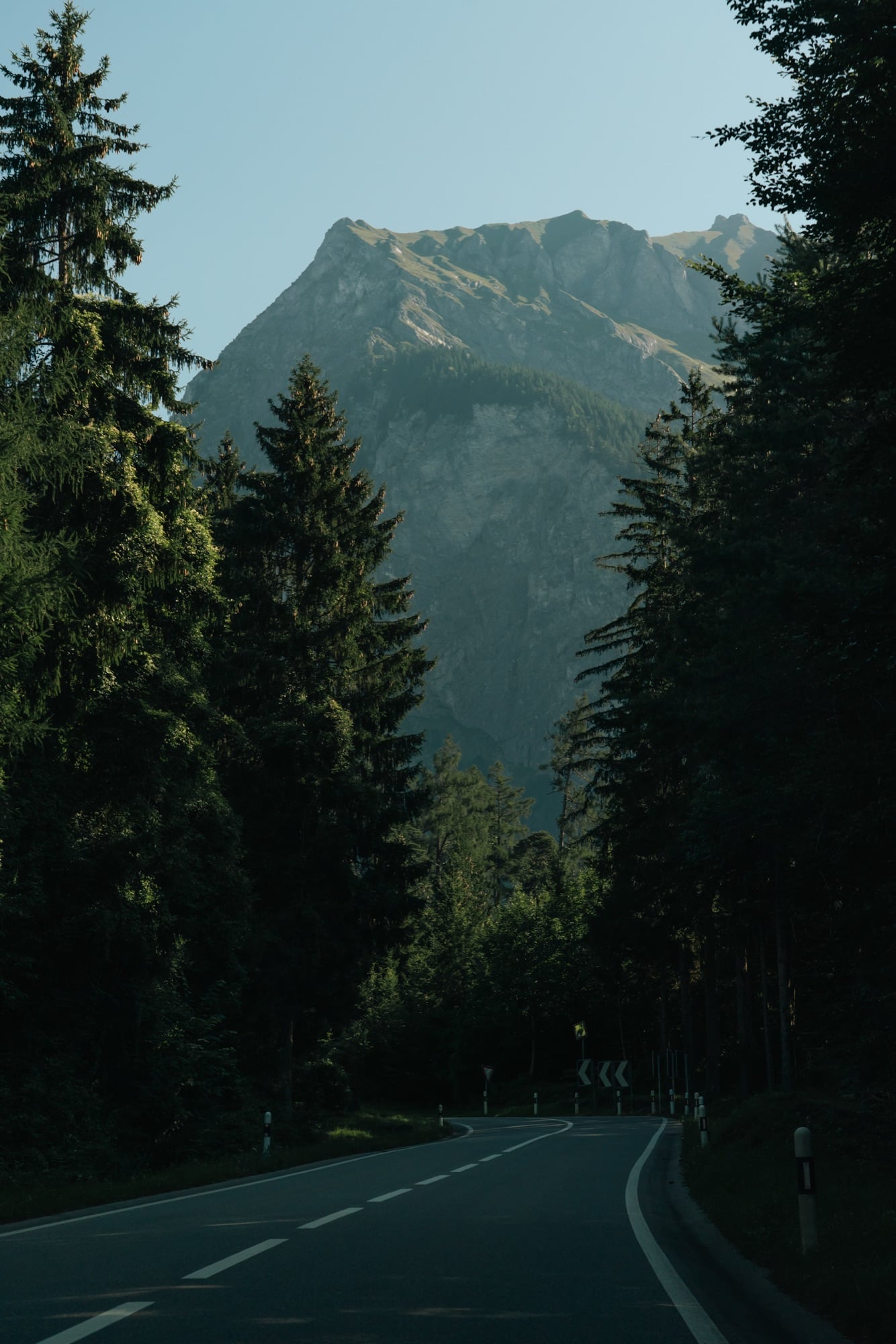 A mountain road curving through dark evergreen forest toward a rocky, grass-topped peak lit by low sun in the Prättigau