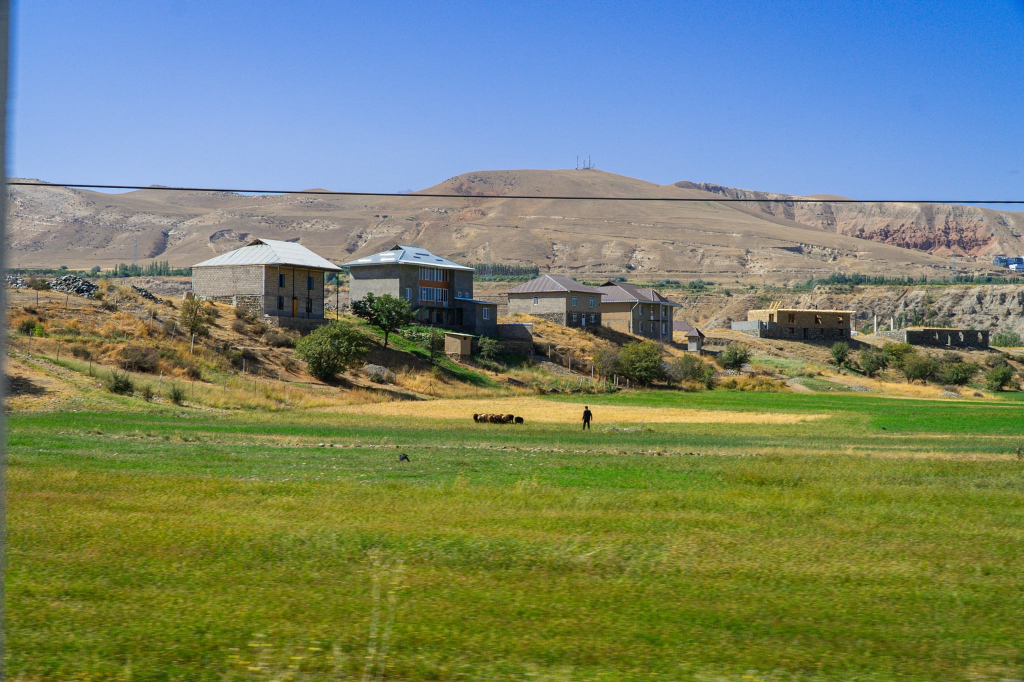 Houses above green fields with a shepherd and his flock, Dashtikozy