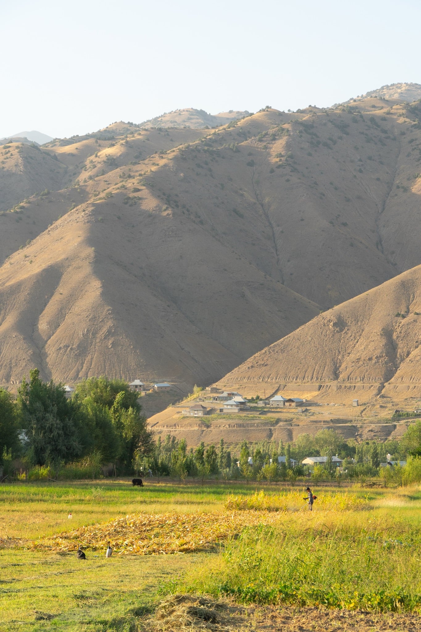 A dwelling tucked into the dry hills of Dashtikozy