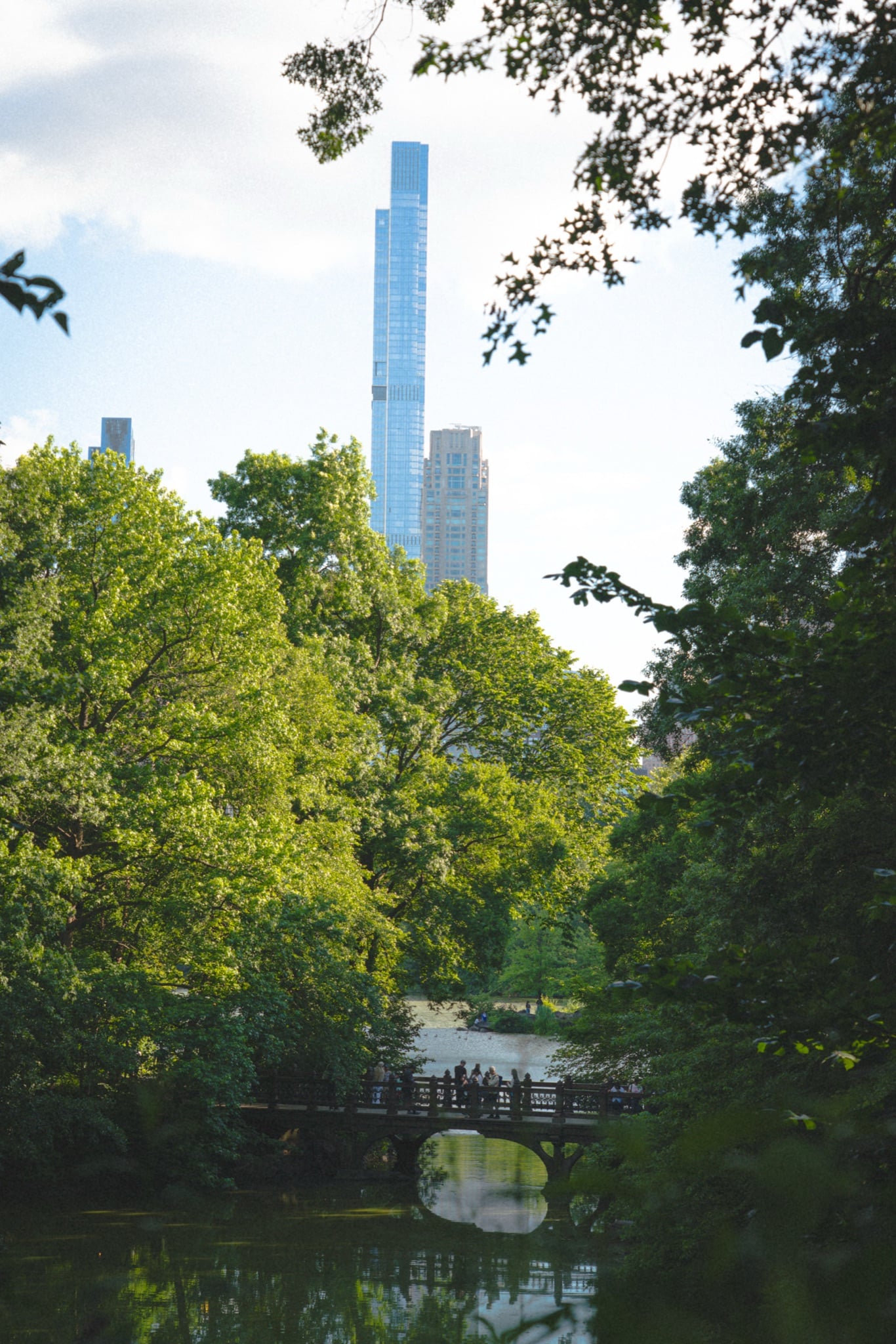 Central Park greenery against the skyline