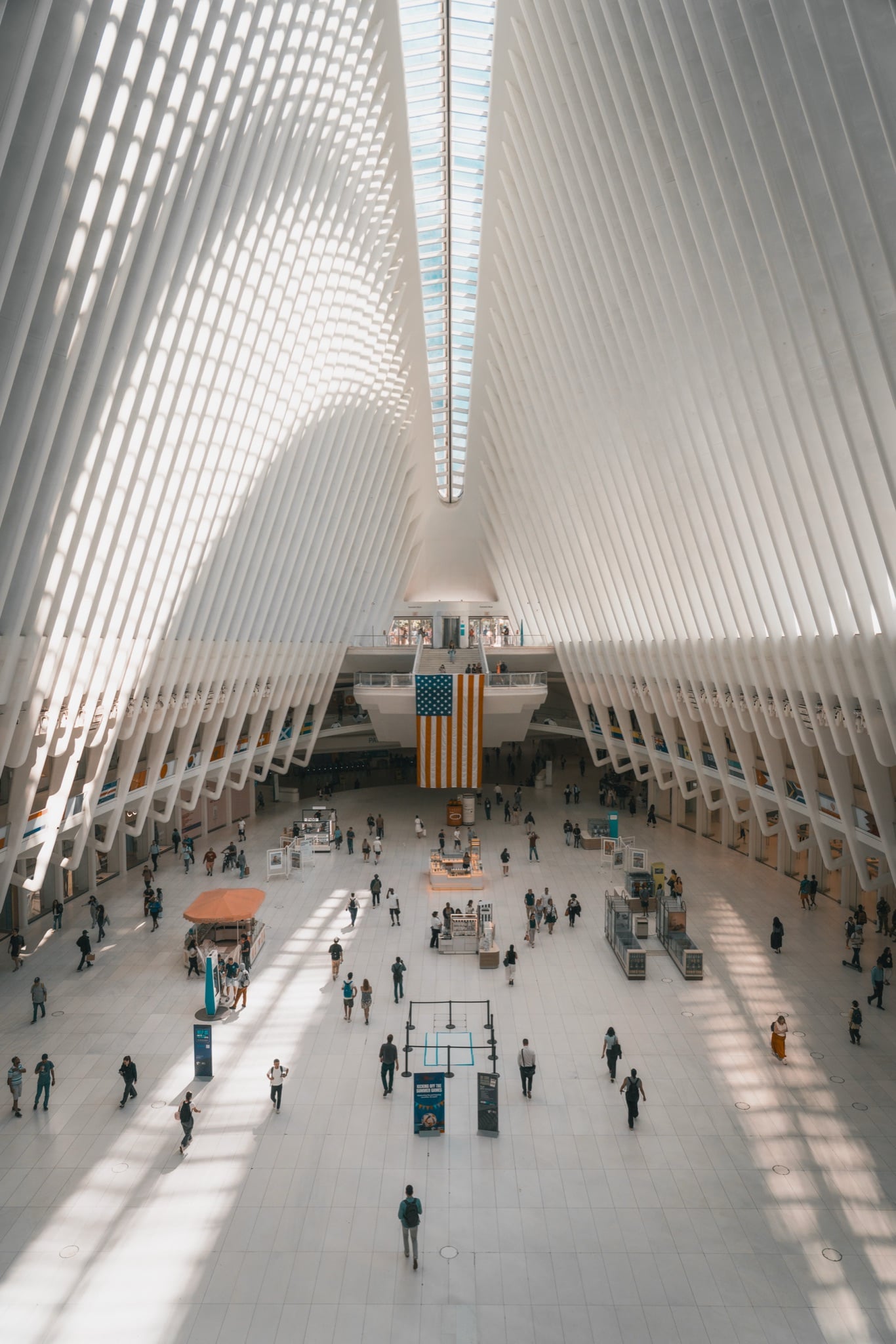 The white ribs of the Oculus rising at the World Trade Center